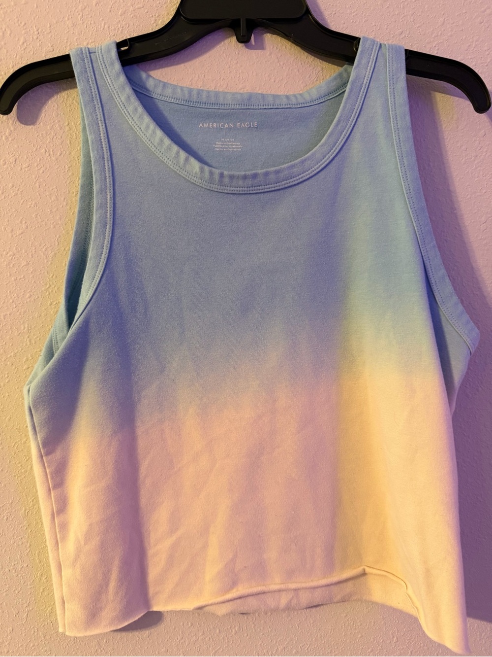 American Eagle Outfitters Pastel Blue to Cream Ombre Cropped Tank